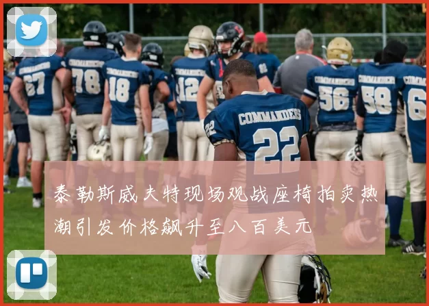 泰勒斯威夫特现场观战座椅拍卖热潮引发价格飙升至八百美元